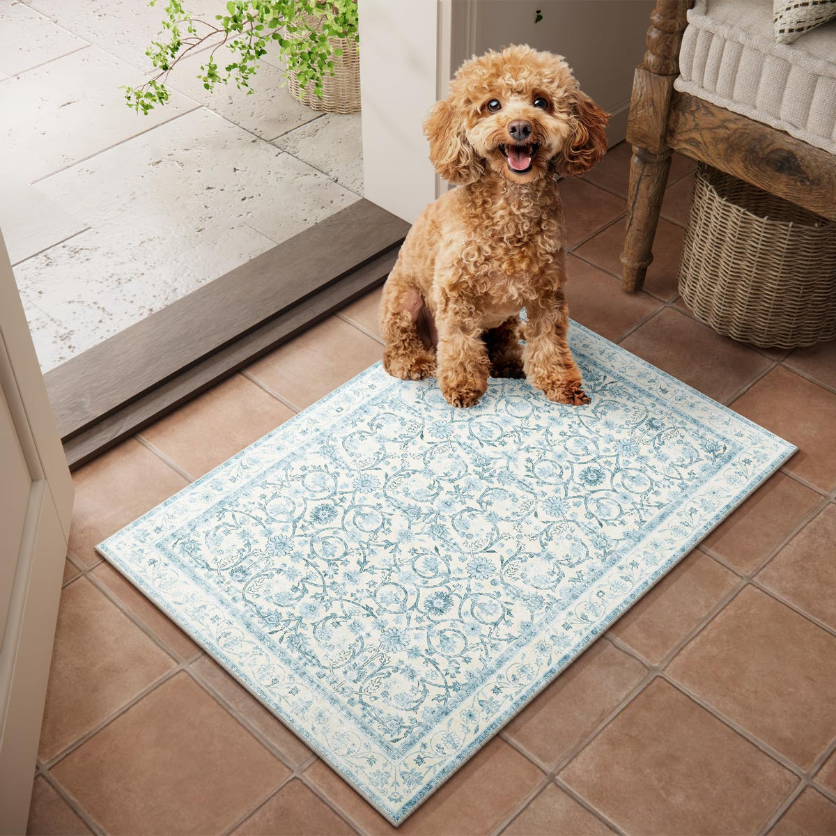 Machine Washable Rugs for Living Room: 8x10 Area Rugs for Bedroom