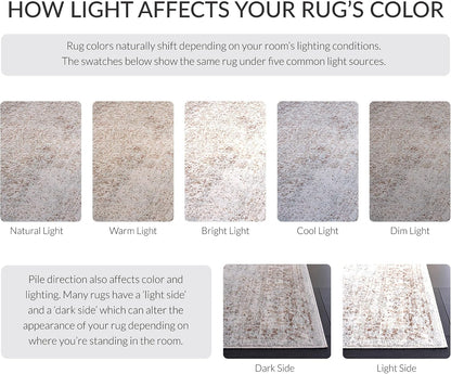 SAFAVIEH Evoke Area Rug 8x10 Large, Ivory & Taupe EVK256E