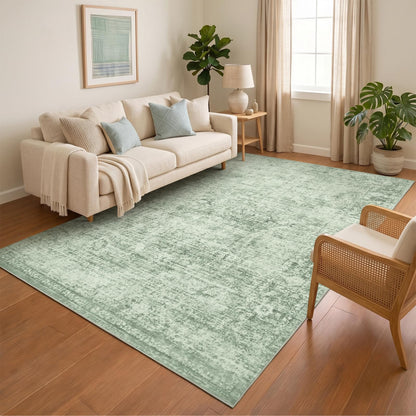 Homemate Washable Rug 9x12 Area Rugs - Vintage Rugs for Living Room