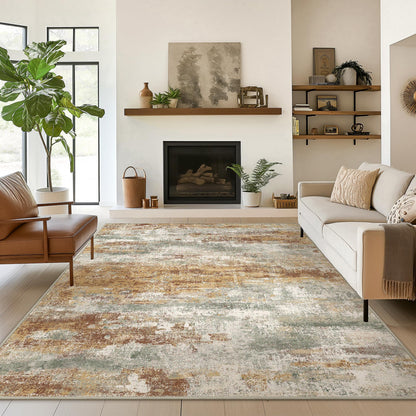 BEIMO 5X7 Area Rug for Living Room, Modern Abstract Washable Soft Non Slip