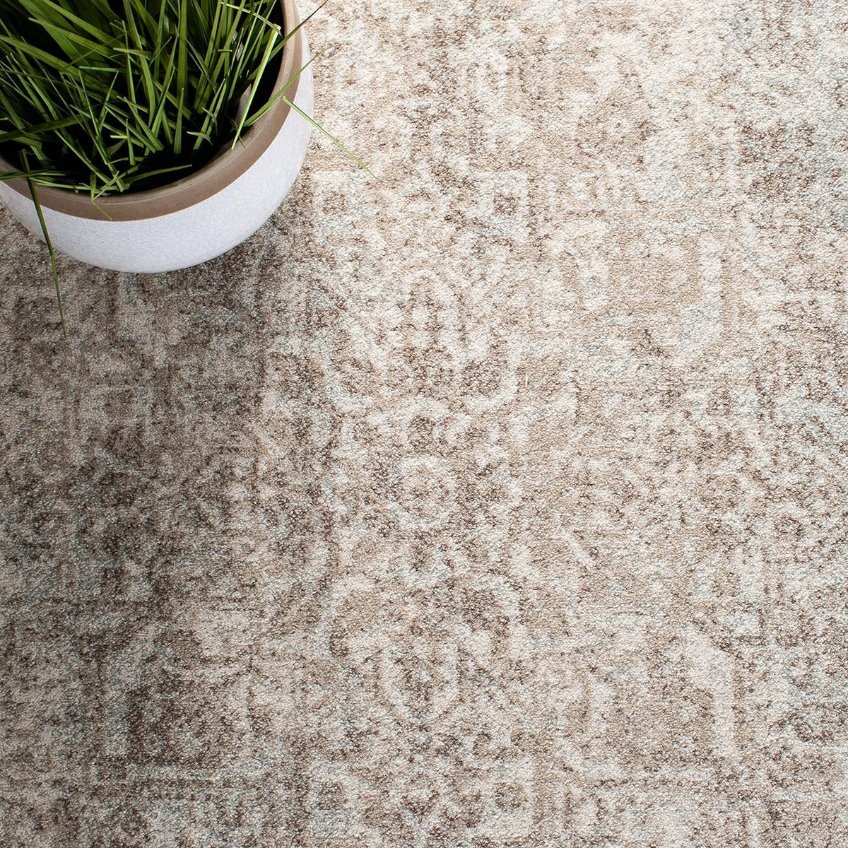 SAFAVIEH Evoke Area Rug 8x10 Large, Ivory & Taupe EVK256E